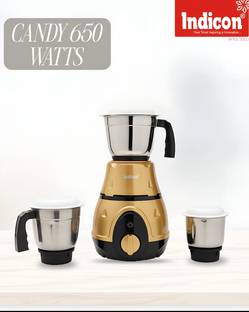 Mixer grinder